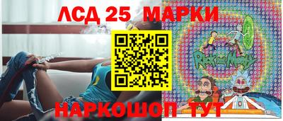 шишки Изобильный